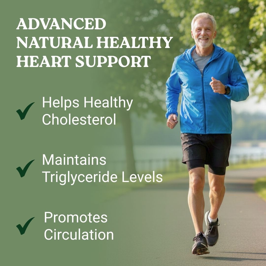 Supports Healthy Cholesterol & Blood Pressure
Natural Heart Health Supplement
Clinically Backed Cardiovascular Support
Promotes Circulatory Wellness & Vitality