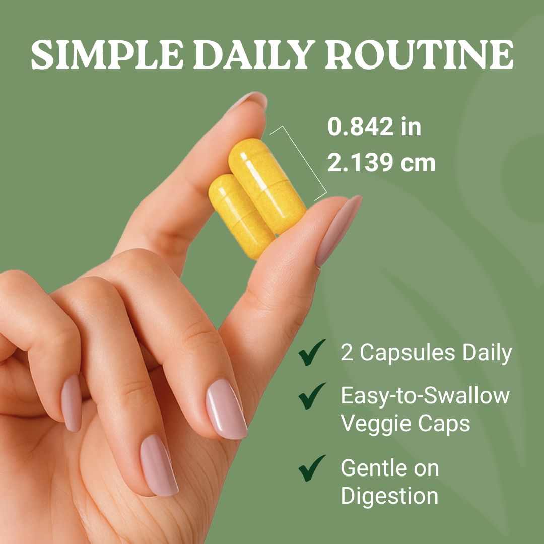 Once-Daily Capsule
Easy to Swallow • Gentle on Stomach
No Aftertaste or Side Effects
Simple Addition to a Healthy Routine
