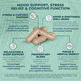 Activa+ Labs Mood Boost