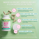 Activa+ Labs Mood Boost